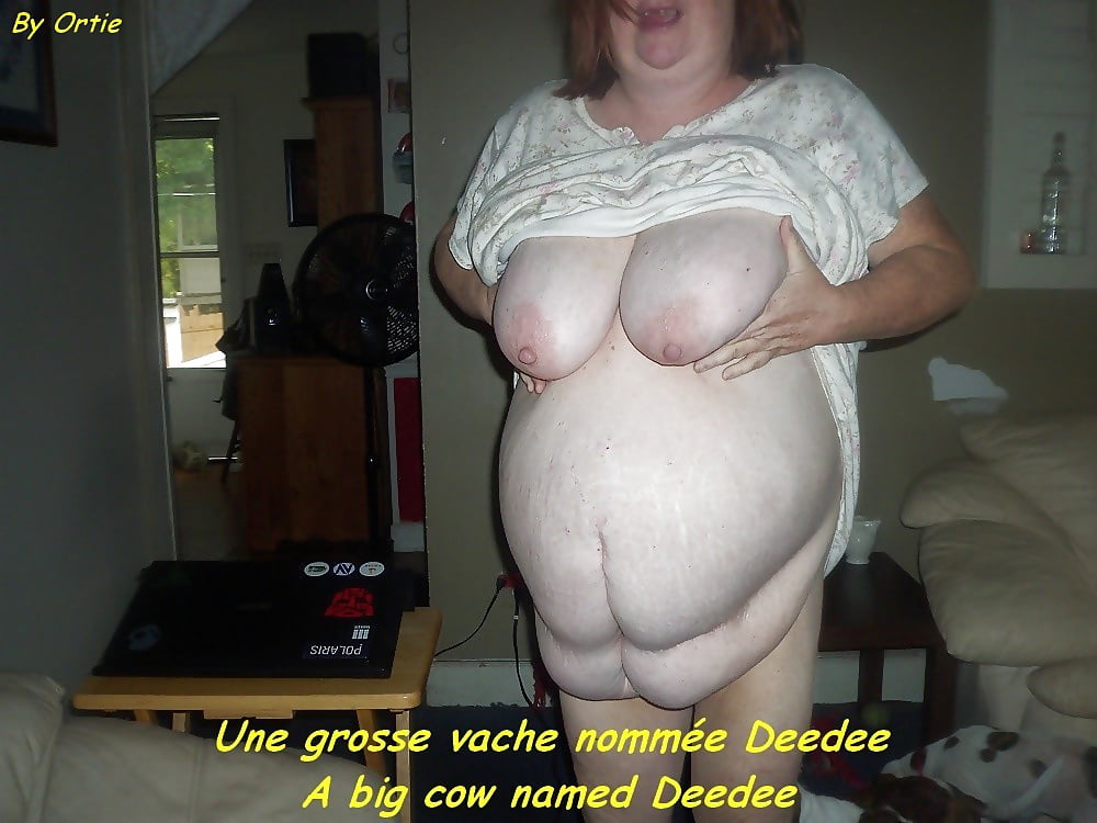 A big cow named Deedee pict gal