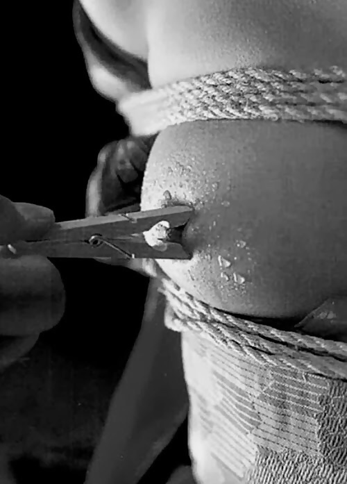 Fresh Things 57 pict gal