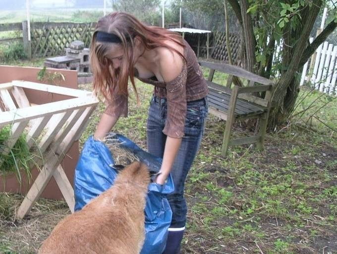 Desktop Clearance pict gal