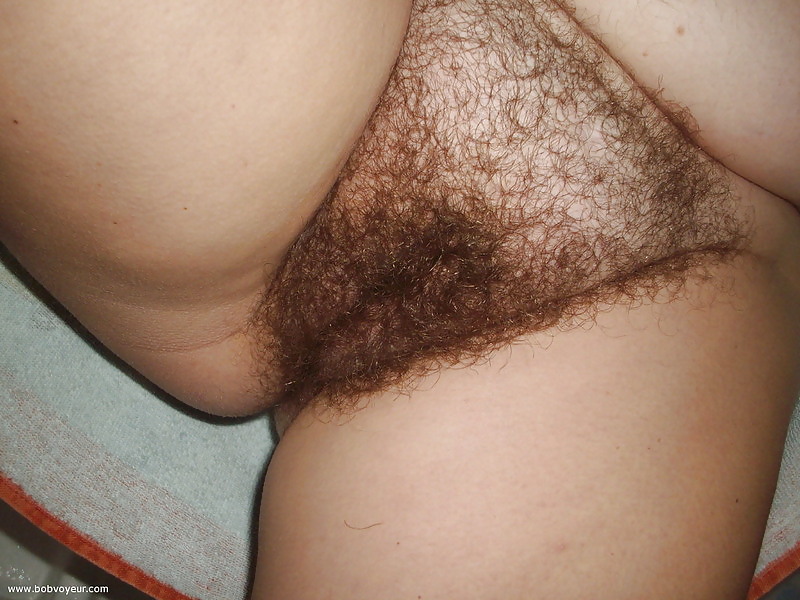 hairy pussy pict gal