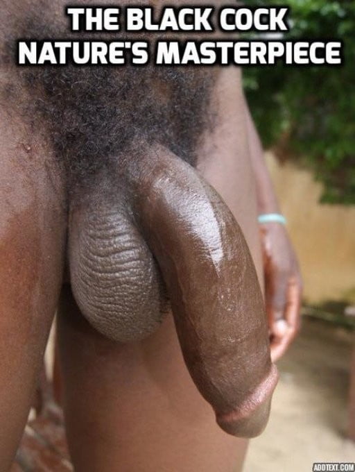 Black Superiority 324 Pics 2 Xhamster