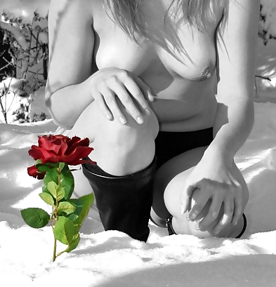 Erotic Art of Roses - Session 6 pict gal