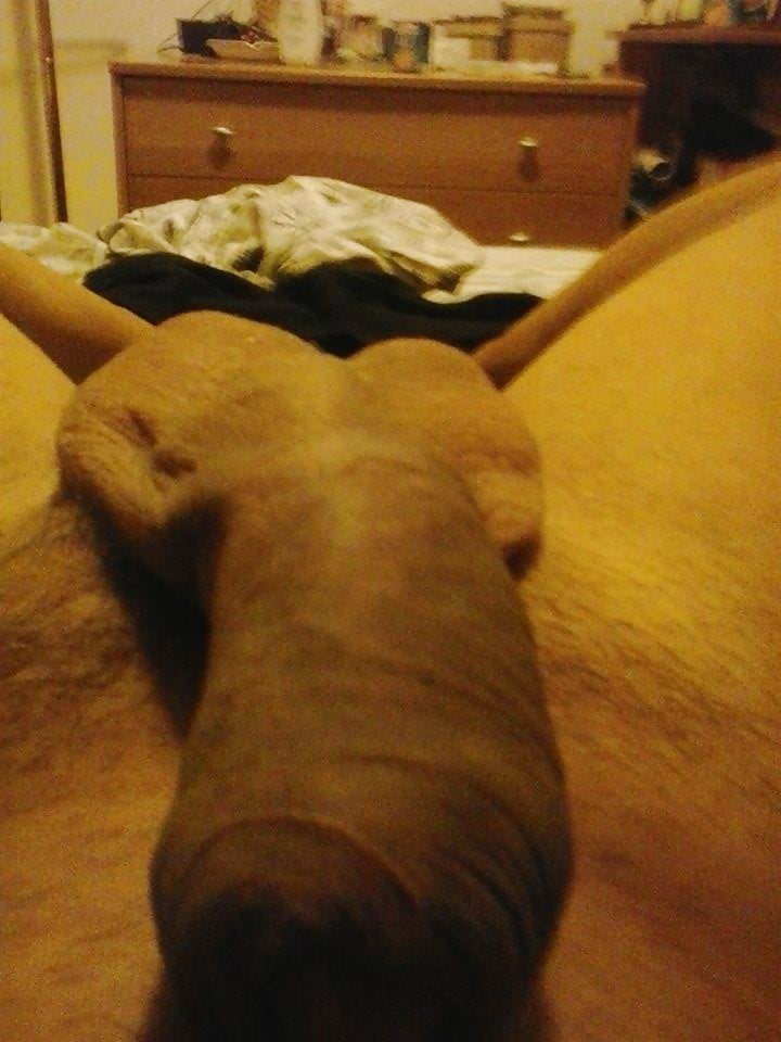 GUARDATE DONNE IL MIO CAZZO IN GUSTO SENTITELO NELLA FIGA pict gal