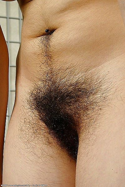 FIGA PELOSA NATURALE 2 , NATURAL HAIRY PUSSY 2 pict gal