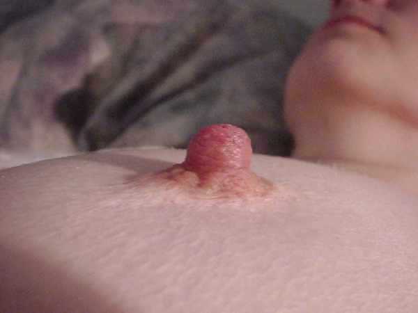 Tits & Pussy pict gal