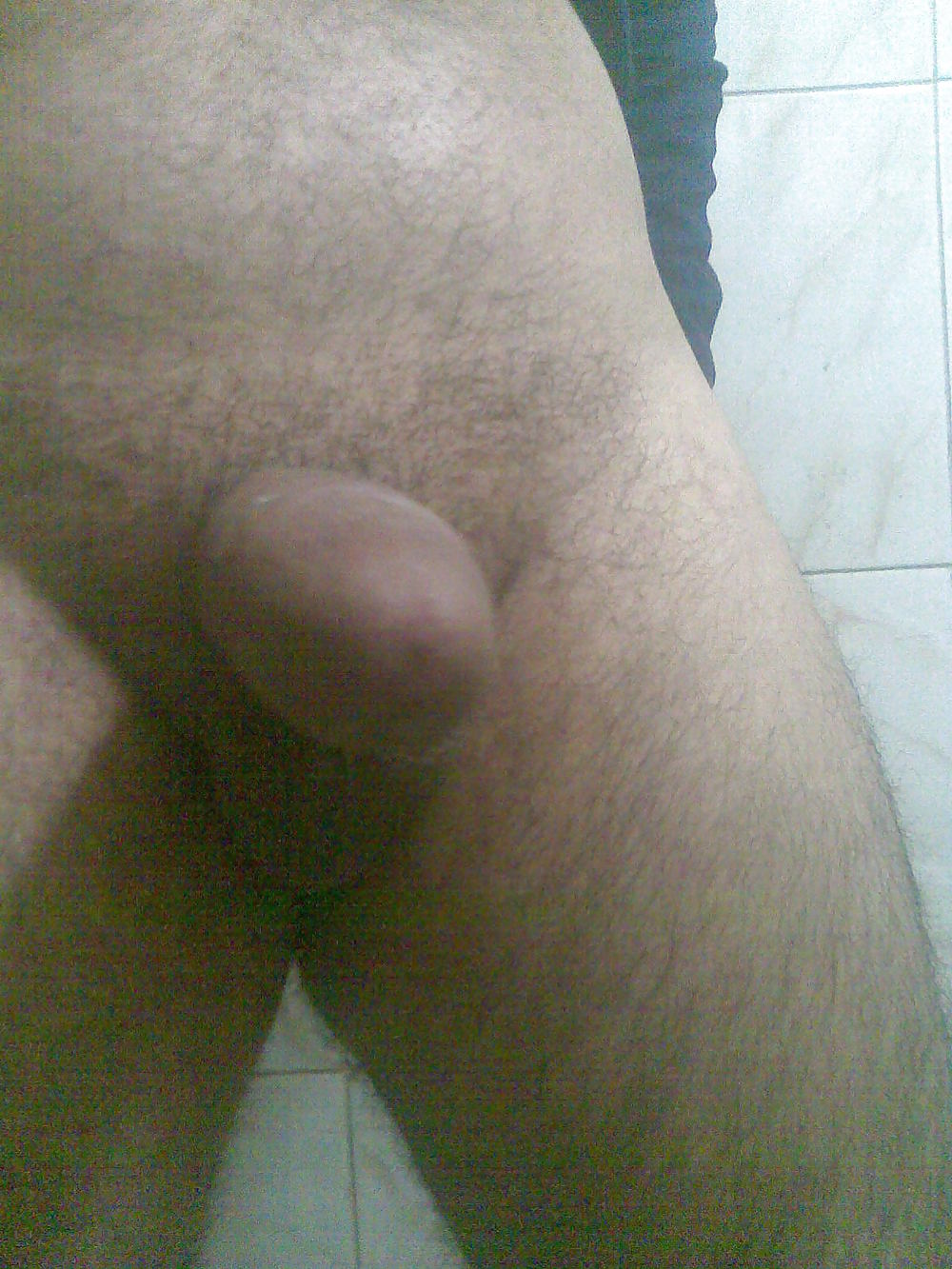 my cock pict gal