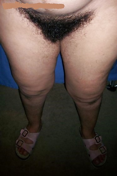 Mexican Hairy Amateur Pics pict gal