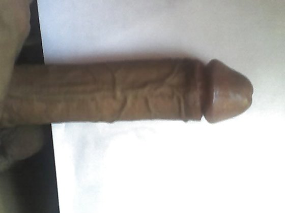Big Brown Meat pict gal