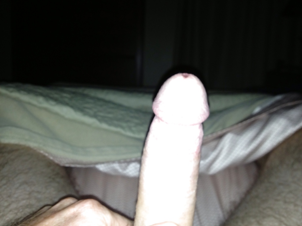 Night cock pict gal