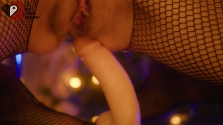 bunny mr dong mylovebunny xx         