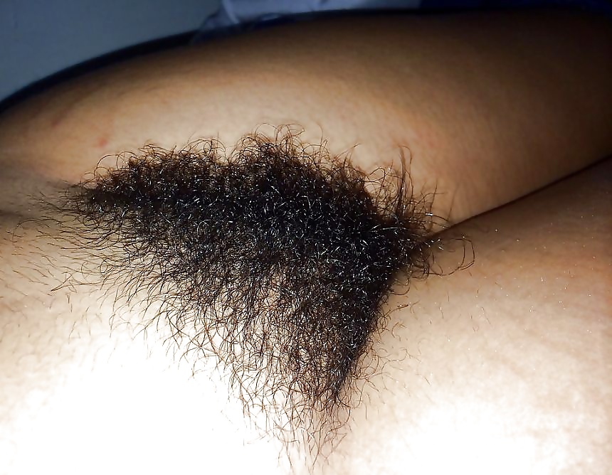 Hairy Pussy Mix 7 pict gal