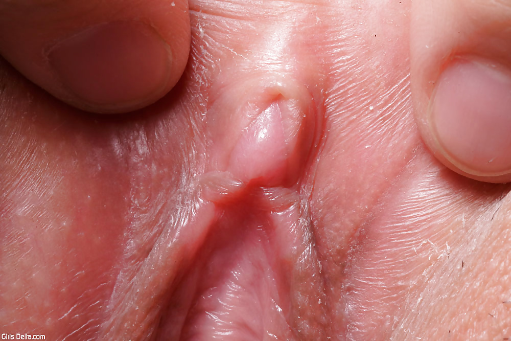 Made in Japan 14 pict gal