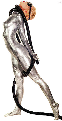 Silver and Gold pict gal