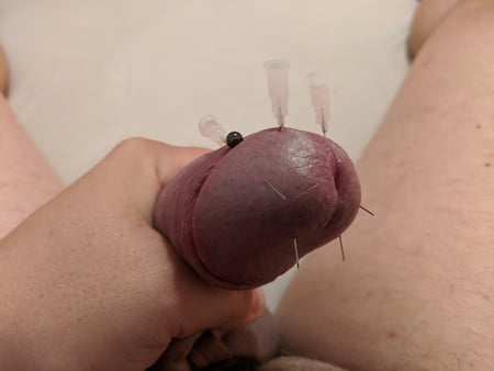 Cock Head Piercing Needle Fetish Cbt Pics Xhamster