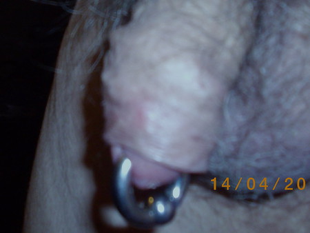 cock piercing