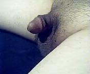 small cock pict gal