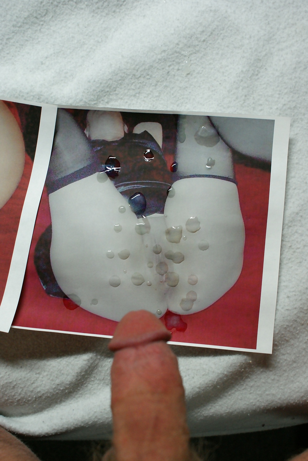 Tribute to Kitzy pict gal