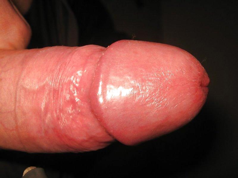 geiler Schwanz von Thundertiger pict gal