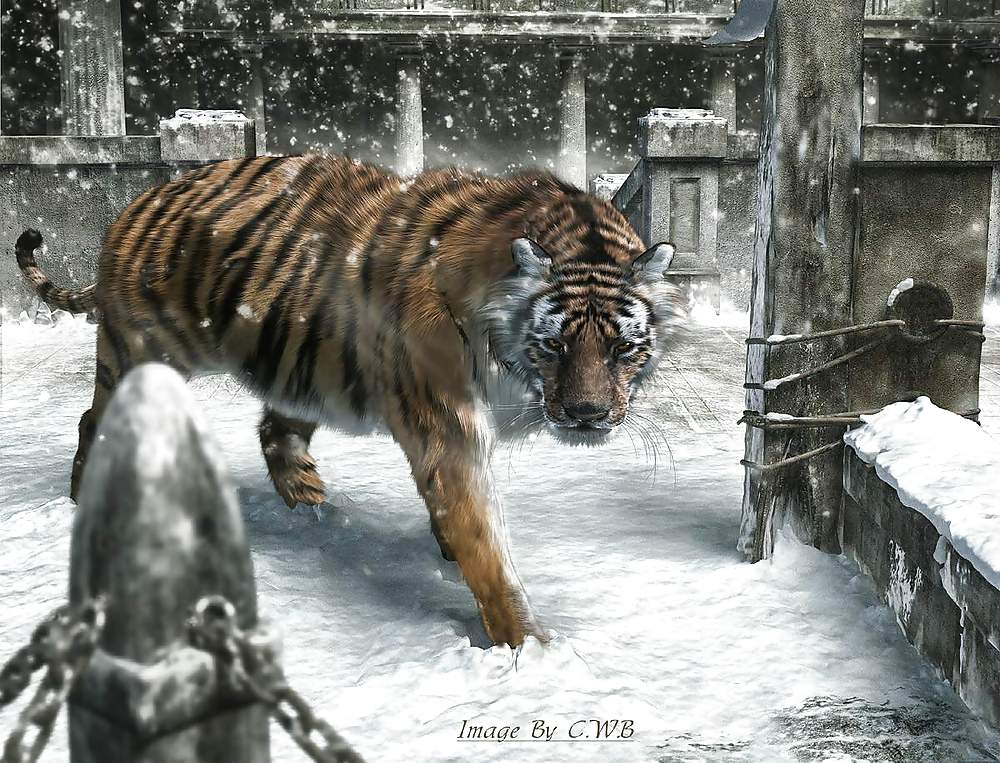 FANTASY LAND- computer art pict gal