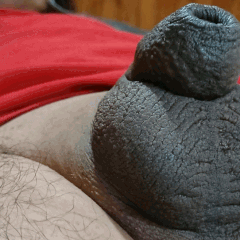 Despertando la anaconda 