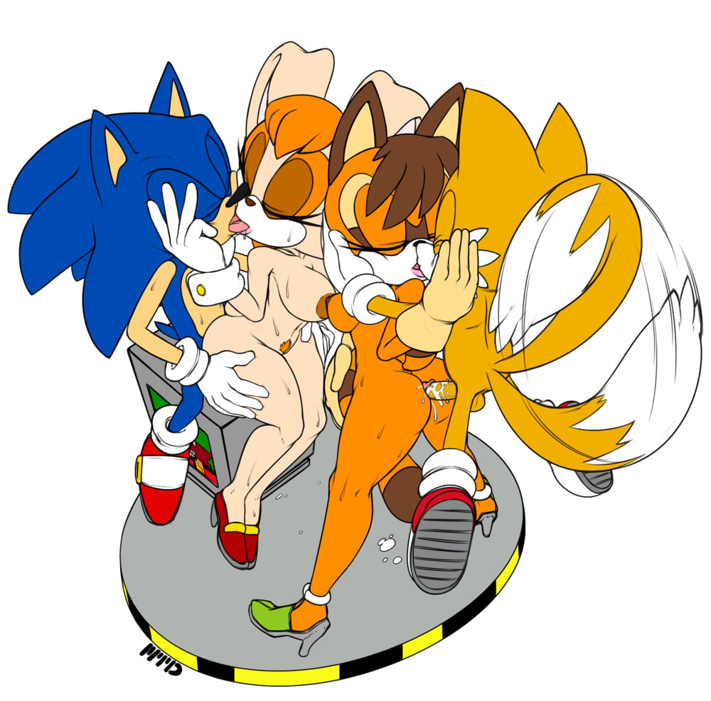 Sonic and tails having sex