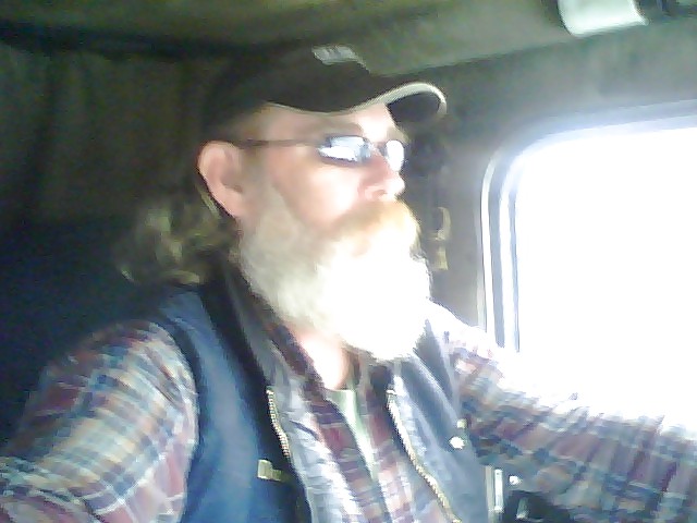 Dave pict gal