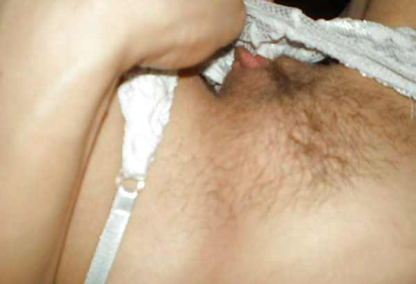 Hairy Gallery 1 pict gal