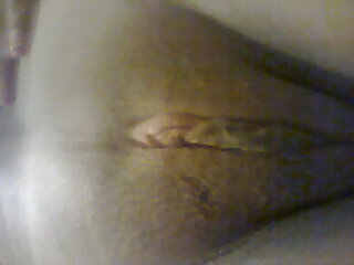 panochita morra mexicana pict gal