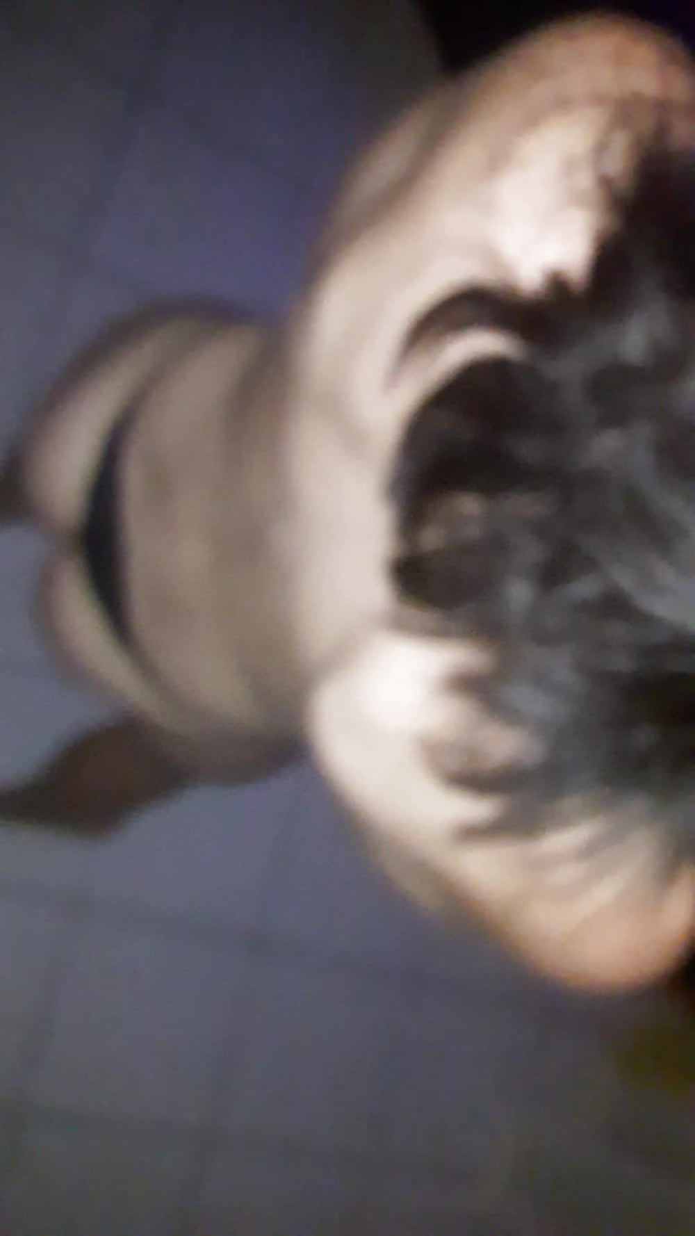 Petite fin de soiree pict gal