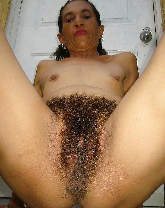 Beautiful Hairy Amateurs 4 by TROC pict gal