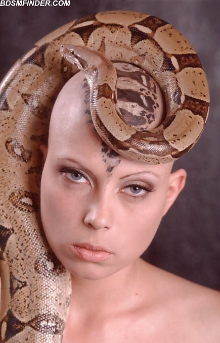 Exotic Completely Shaved Snake Charmer pict gal