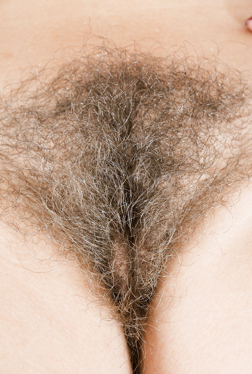 Mature sex gray pussy hair