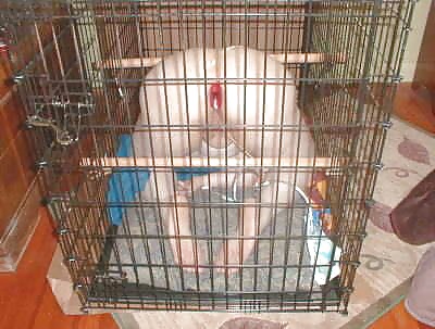 salopes soumises en cage pict gal