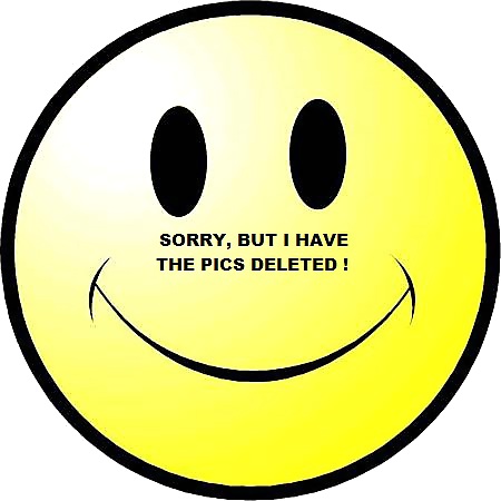 MUSLIM and ARABIAN SLUTS II pict gal