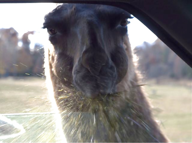 Girls and Diverses 87 pict gal