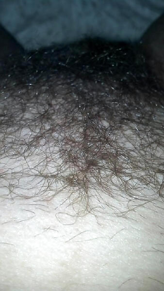 HAIRY LOVER pict gal