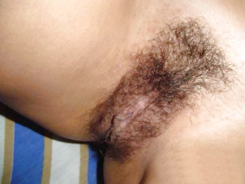 Hairy young pussy pict gal